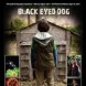 Black Eyed Dog