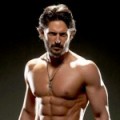 The Celebrity Workout