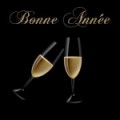 Bonne Ann�e 2010 !