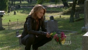 Les Fr�res Scott Peyton Sawyer : 4 ans Plus Tard 